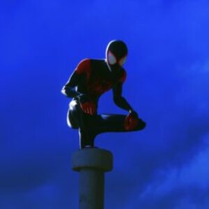 Profile photo of Shewan